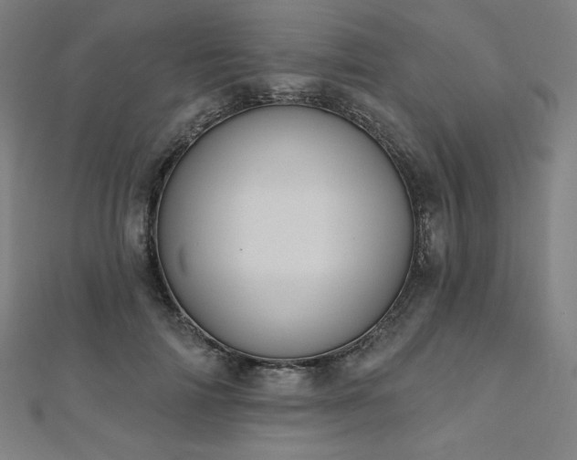 X0000112500698200908171310