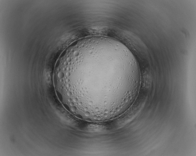 X0000112500699200908171309