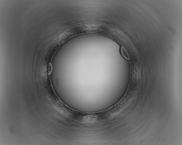 X0000112500700200908171309