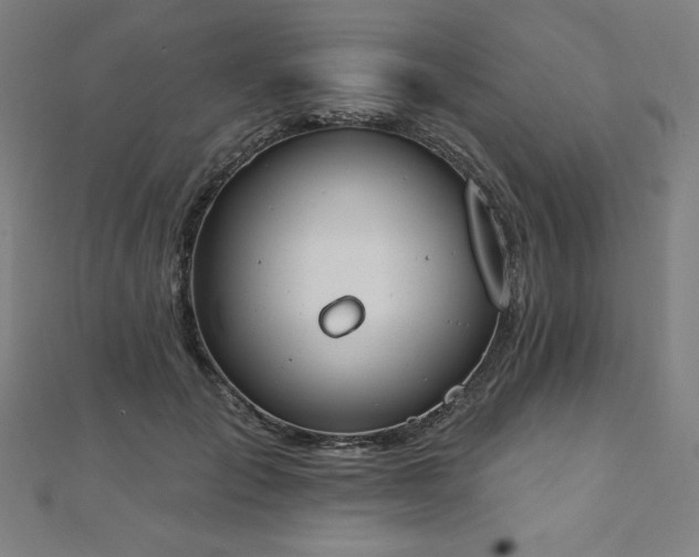 X0000112500701200908171309