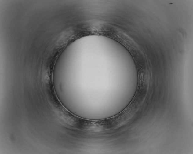 X0000112500702200908171309