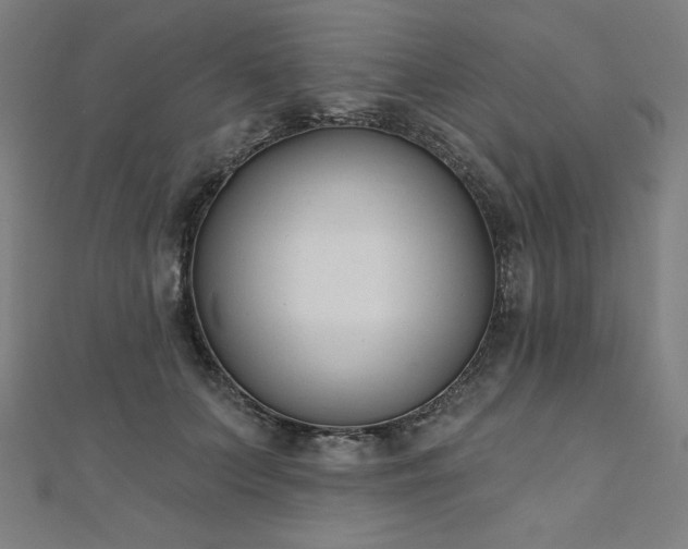 X0000112500703200908171309