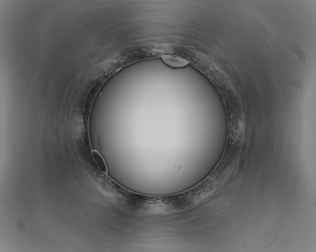 X0000112500704200908171309