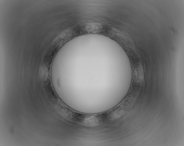 X0000112500705200908171309