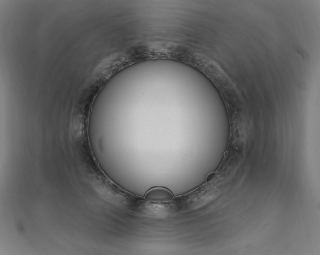 X0000112500706200908171309