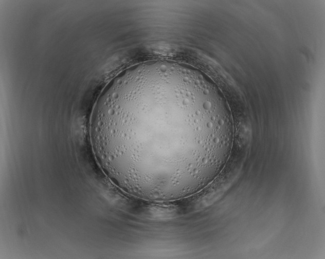 X0000112500707200908171309