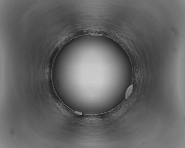 X0000112500708200908171309