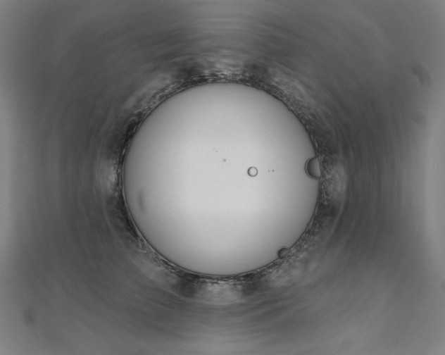 X0000112500709200908171309