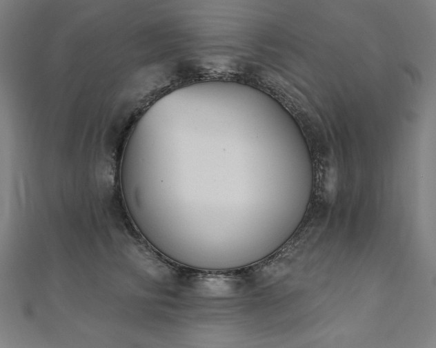 X0000112500710200908171309