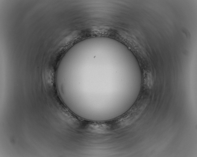 X0000112500712200908171309