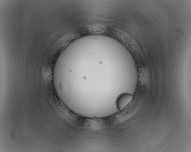 X0000112500713200908171309