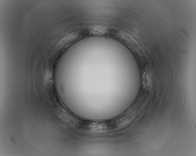 X0000112500714200908171309