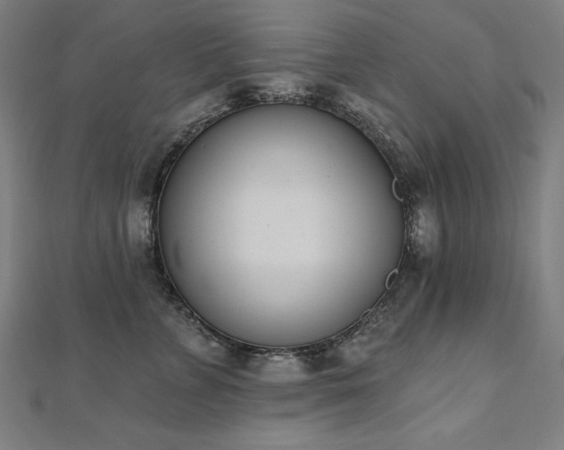 X0000112500715200908171309