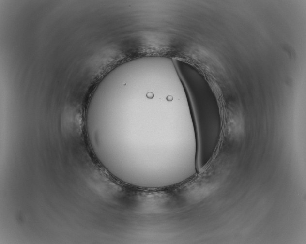 X0000112500716200908171309