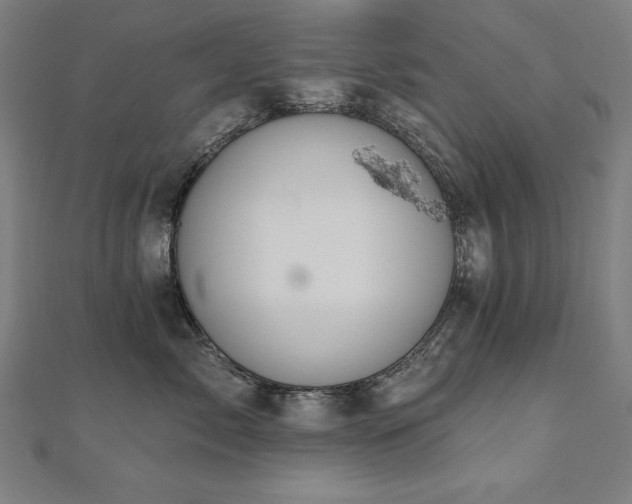 X0000112500717200908171309