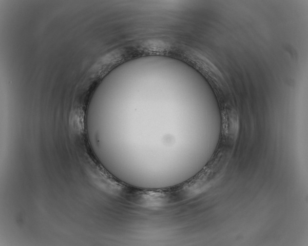 X0000112500718200908171309