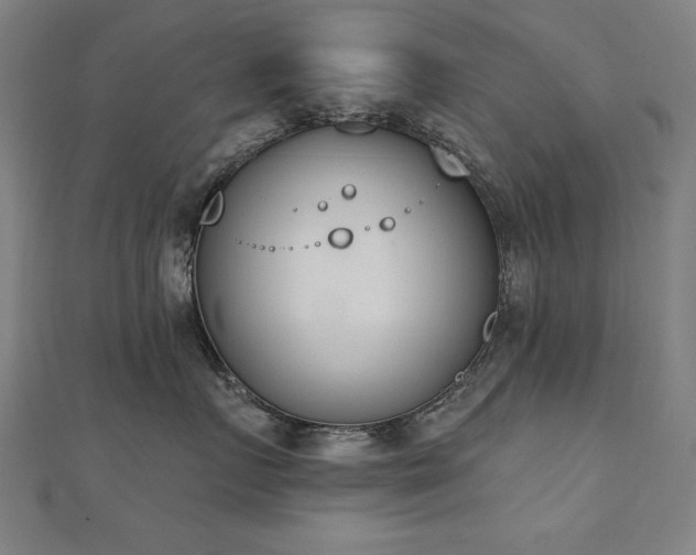 X0000112500719200908171309