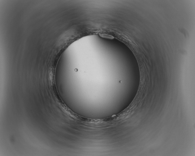 X0000112500720200908171309