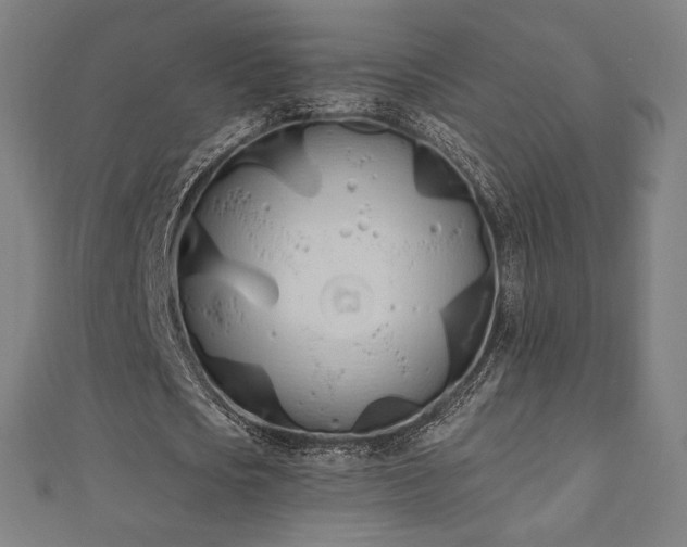 X0000112500721200908171308