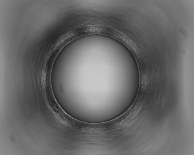 X0000112500722200908171308