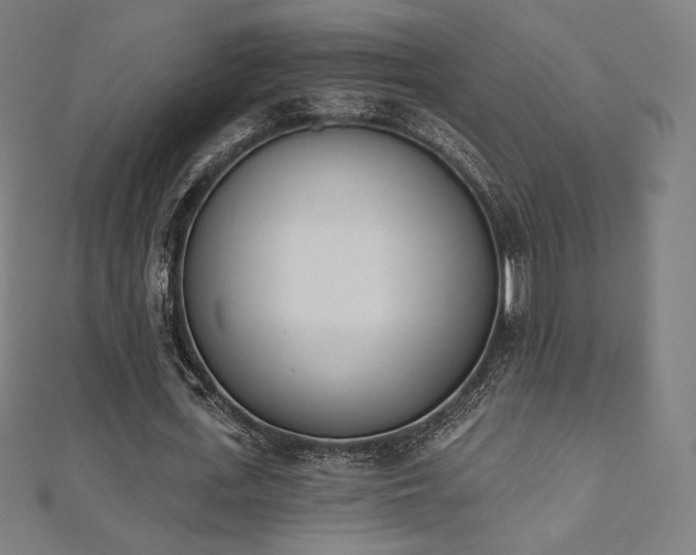 X0000112500723200908171308