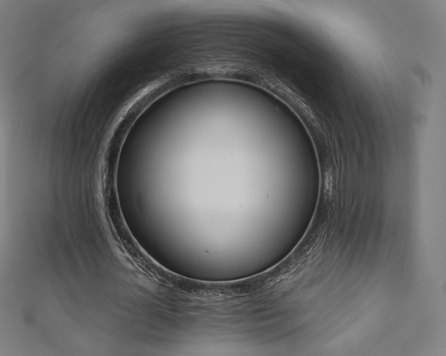 X0000112500724200908171308