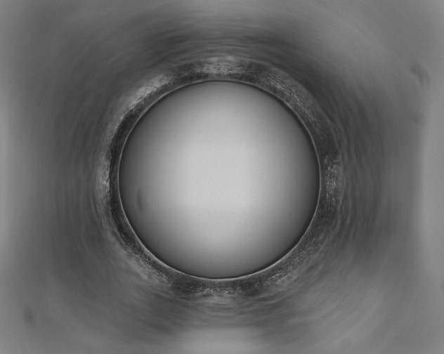 X0000112500727200908171309