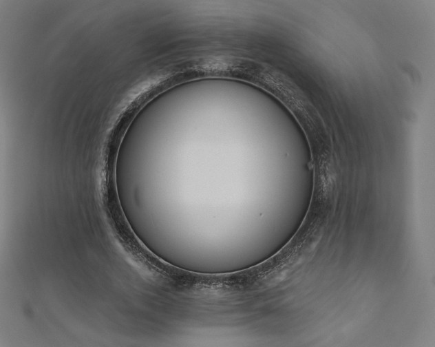 X0000112500728200908171309