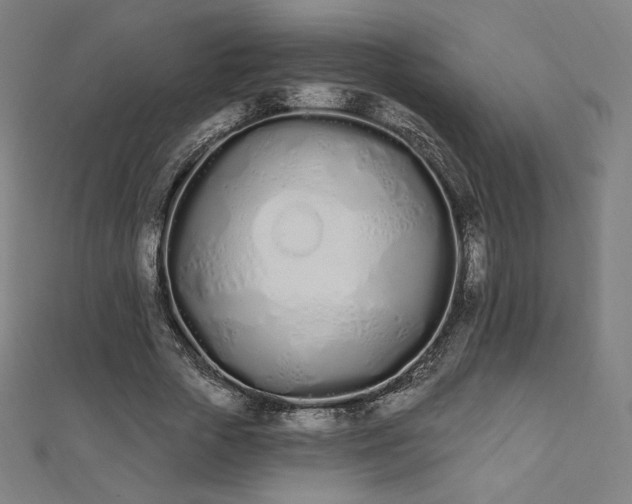 X0000112500729200908171309