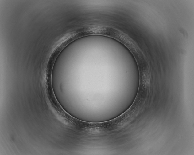 X0000112500730200908171309