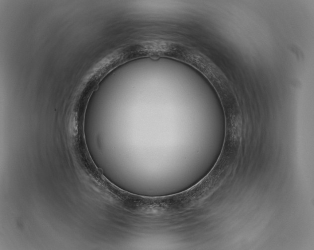 X0000112500731200908171309