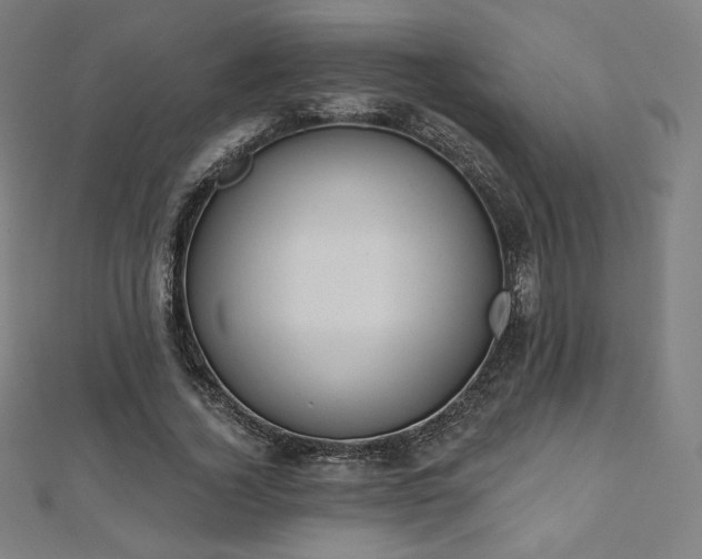 X0000112500732200908171309