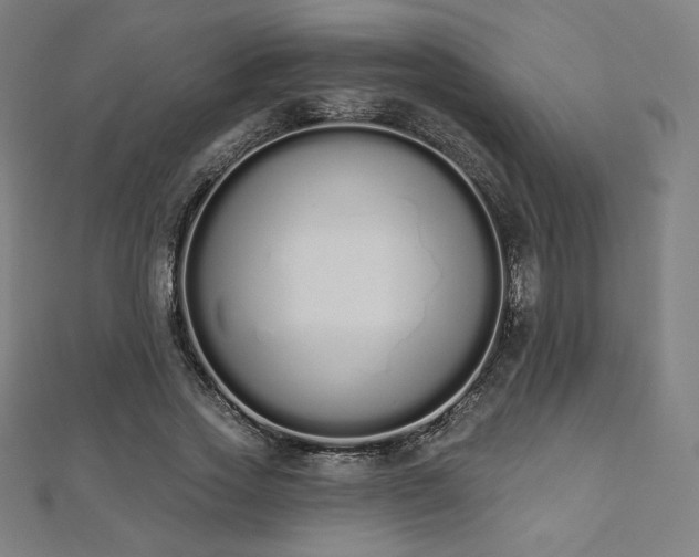 X0000112500733200908171309