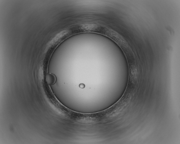 X0000112500734200908171309