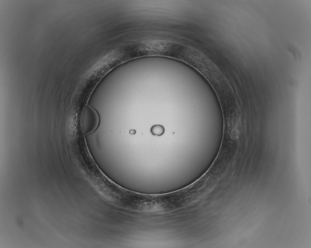 X0000112500735200908171309