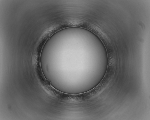 X0000112500736200908171309