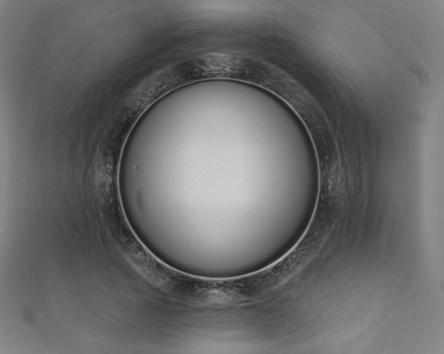 X0000112500737200908171309