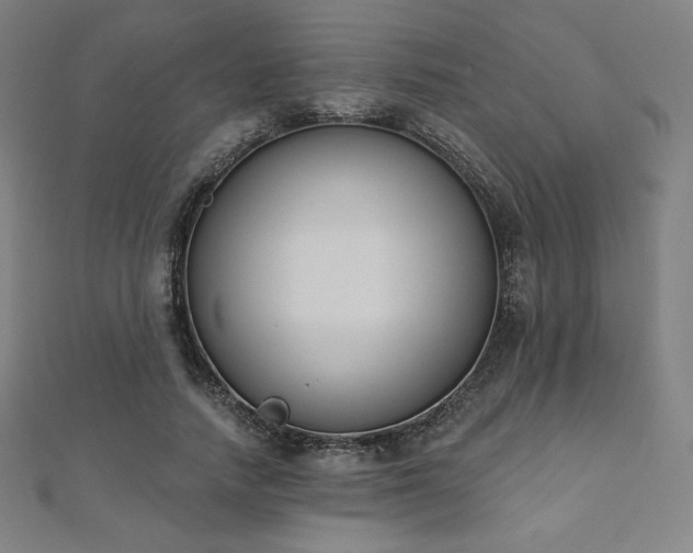 X0000112500738200908171309