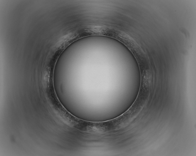 X0000112500739200908171309