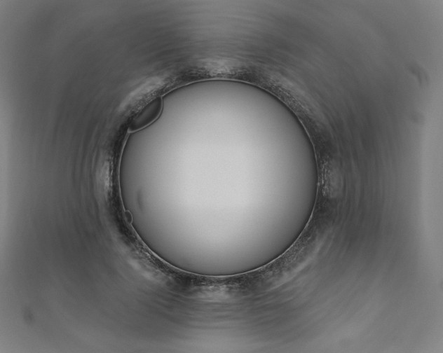 X0000112500740200908171309