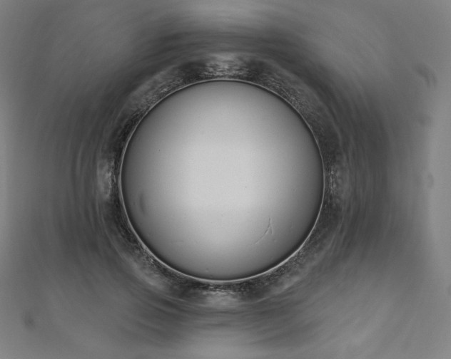 X0000112500741200908171309