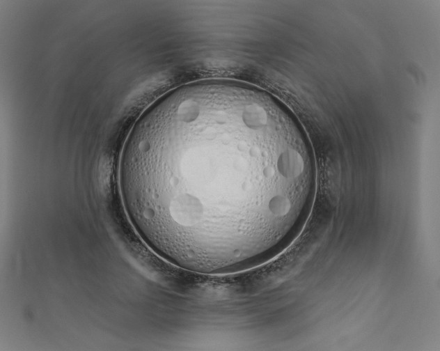 X0000112500742200908171309