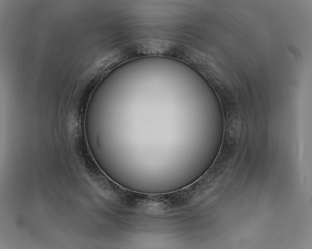 X0000112500743200908171309