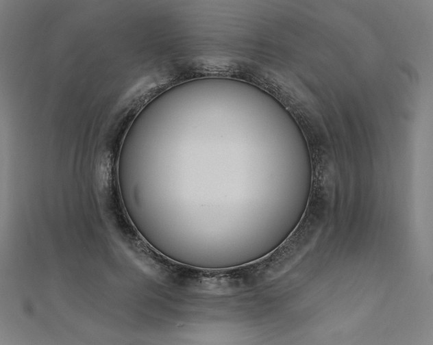 X0000112500744200908171309