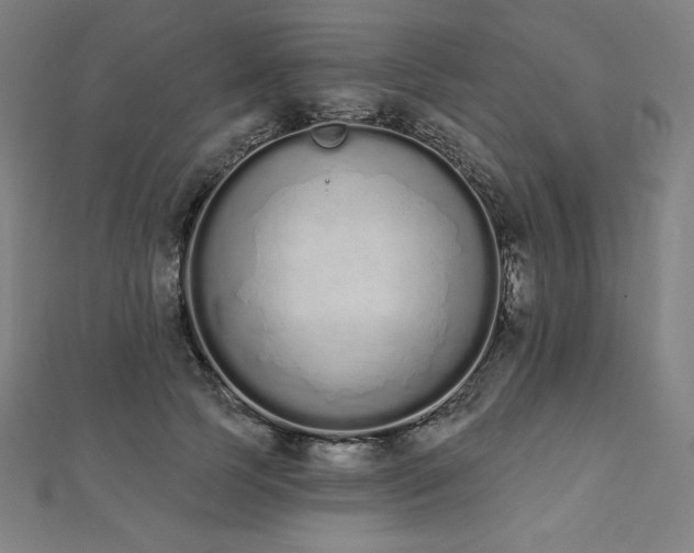 X0000112500745200908171309