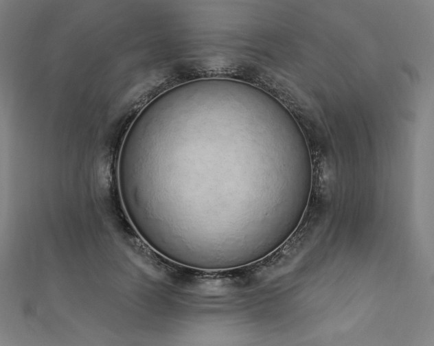 X0000112500746200908171309