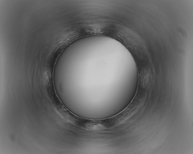 X0000112500747200908171309