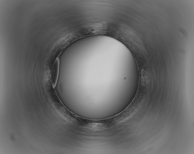 X0000112500748200908171309