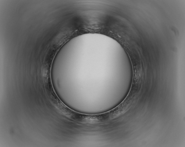 X0000112500749200908171309