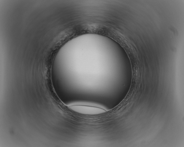 X0000112500750200908171309